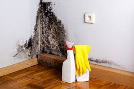 Cobden, IL Mold Remediation Company